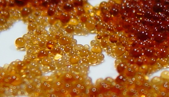 Ion exchange resin beads